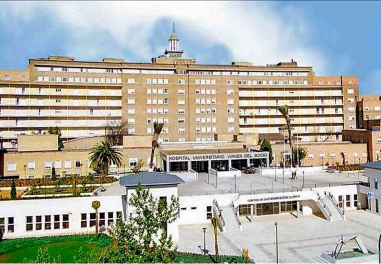 Obra Hospitalaria. Grupo Zinc. Hospital Virgen del Rocio. Sevilla