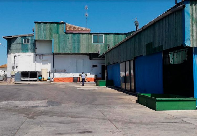 Obra Industrial. Grupo Zinc. Aceitunas Finca Morera. Huelva