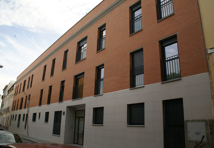 Edificación. Viviendas en calle Muro de los Navarros. Sevilla