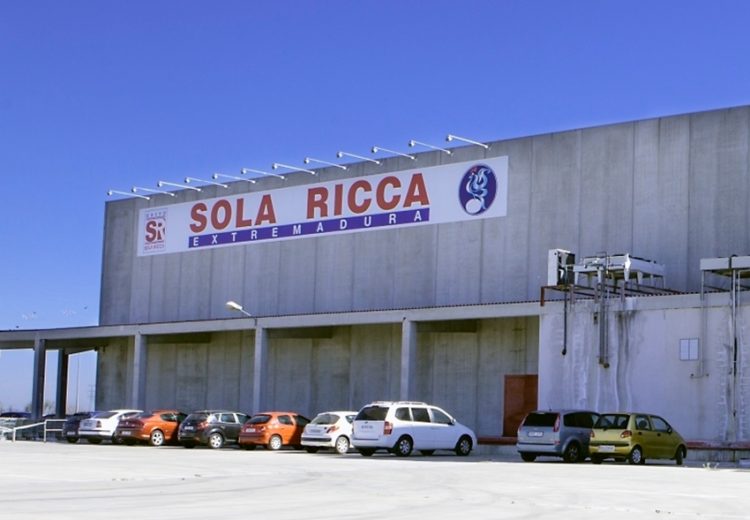 Obra industrial. Adecuación de las instalaciones de Sola Ricca Mérida