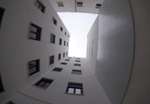 Edificación. Viviendas en calle Fernando IV. Sevilla